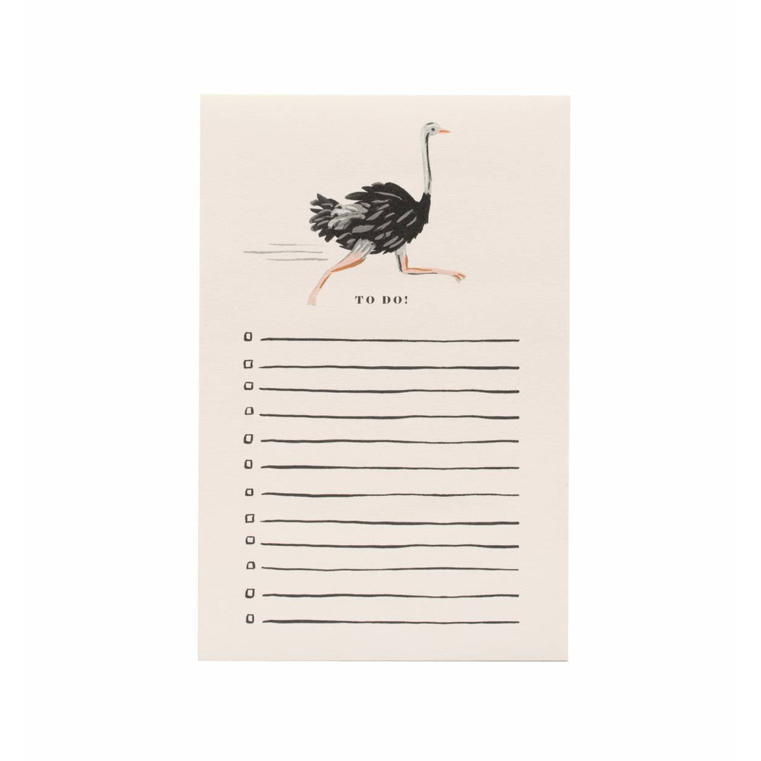rifle-paper-co-ostrich-notepad-1