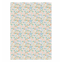 rifle-paper-co-roll-of-3-meadow-pastel-wrapping-sheet- (3)