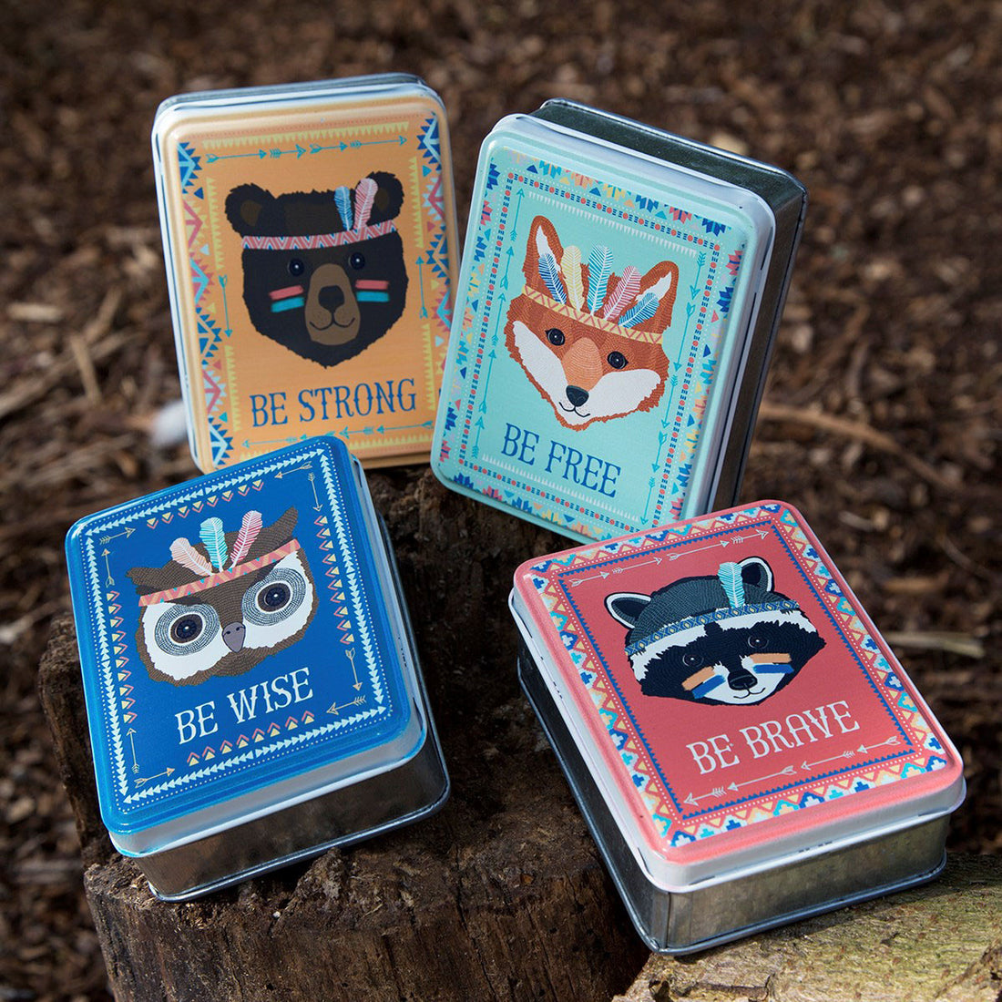 rjb-stone-be-brave-raccoon-animal-adventure-storage-tin- (4)