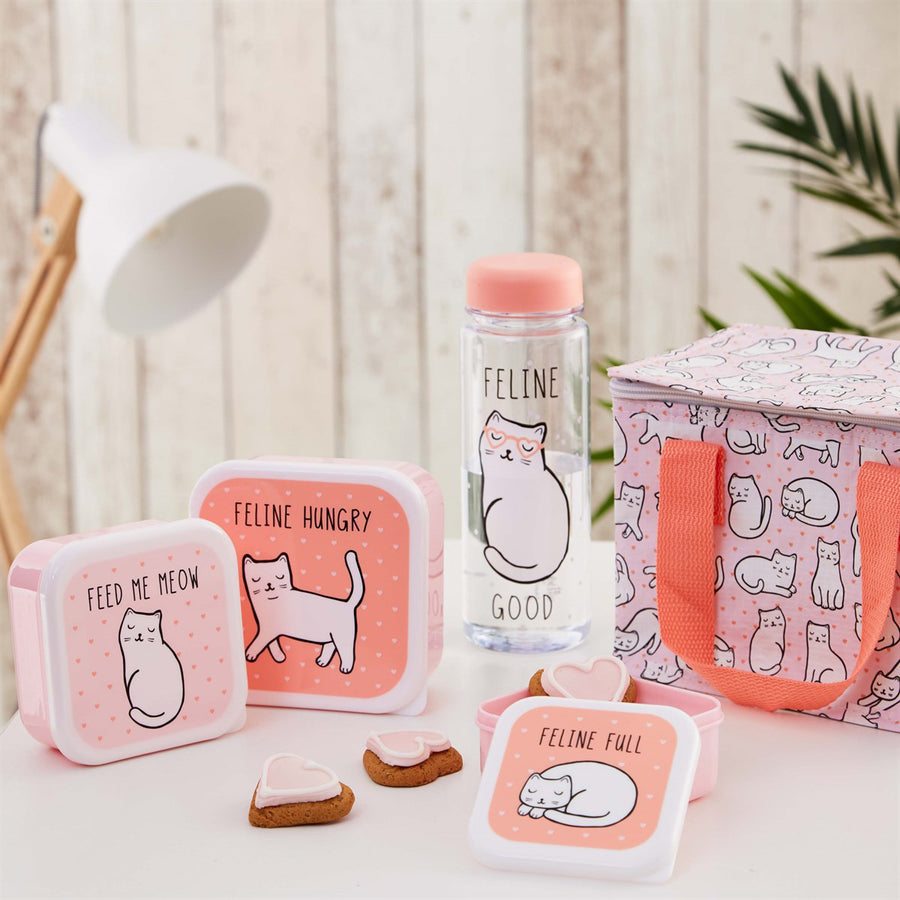 rjb-stone-cutie-cat-feline-good-clear-water-bottle- (2)