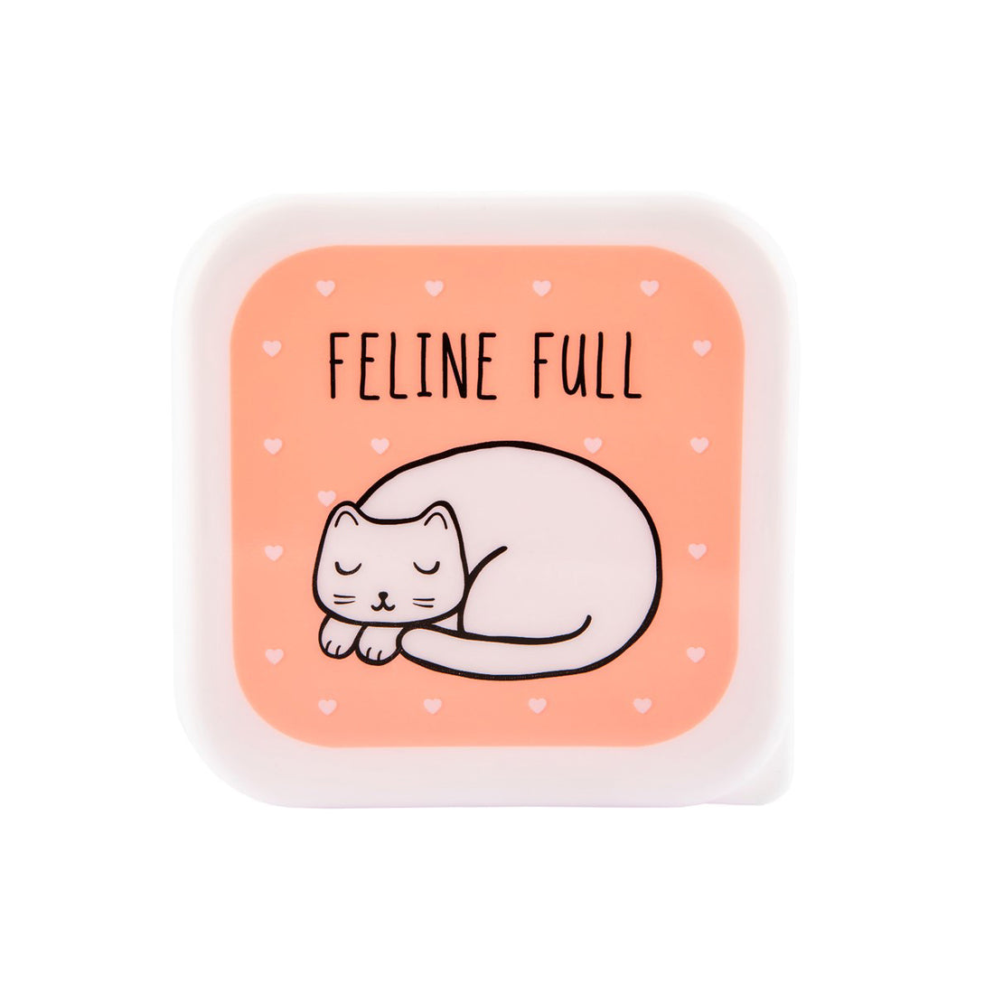 rjb-stone-cutie-cat-lunch-boxes- (5)