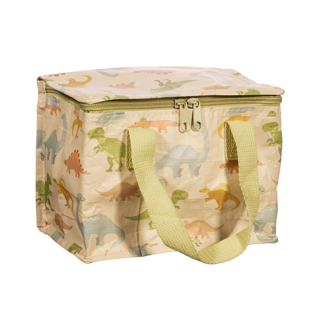 rjb-stone-desert-dino-lunch-bag-rjbs-tote116- (1)