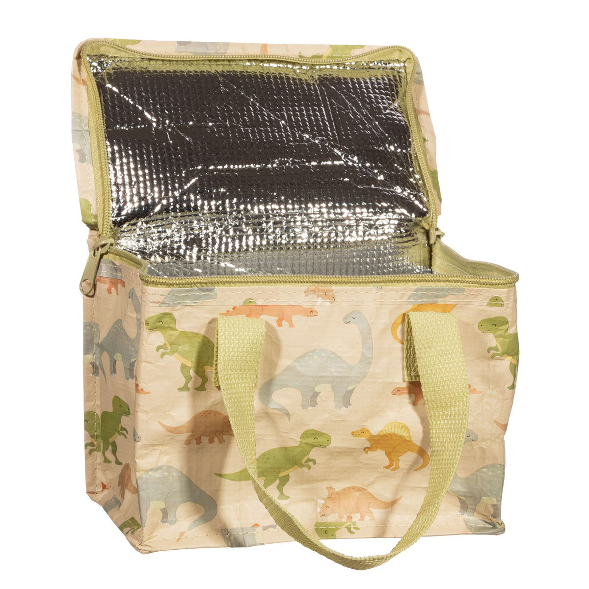 rjb-stone-desert-dino-lunch-bag-rjbs-tote116- (4)
