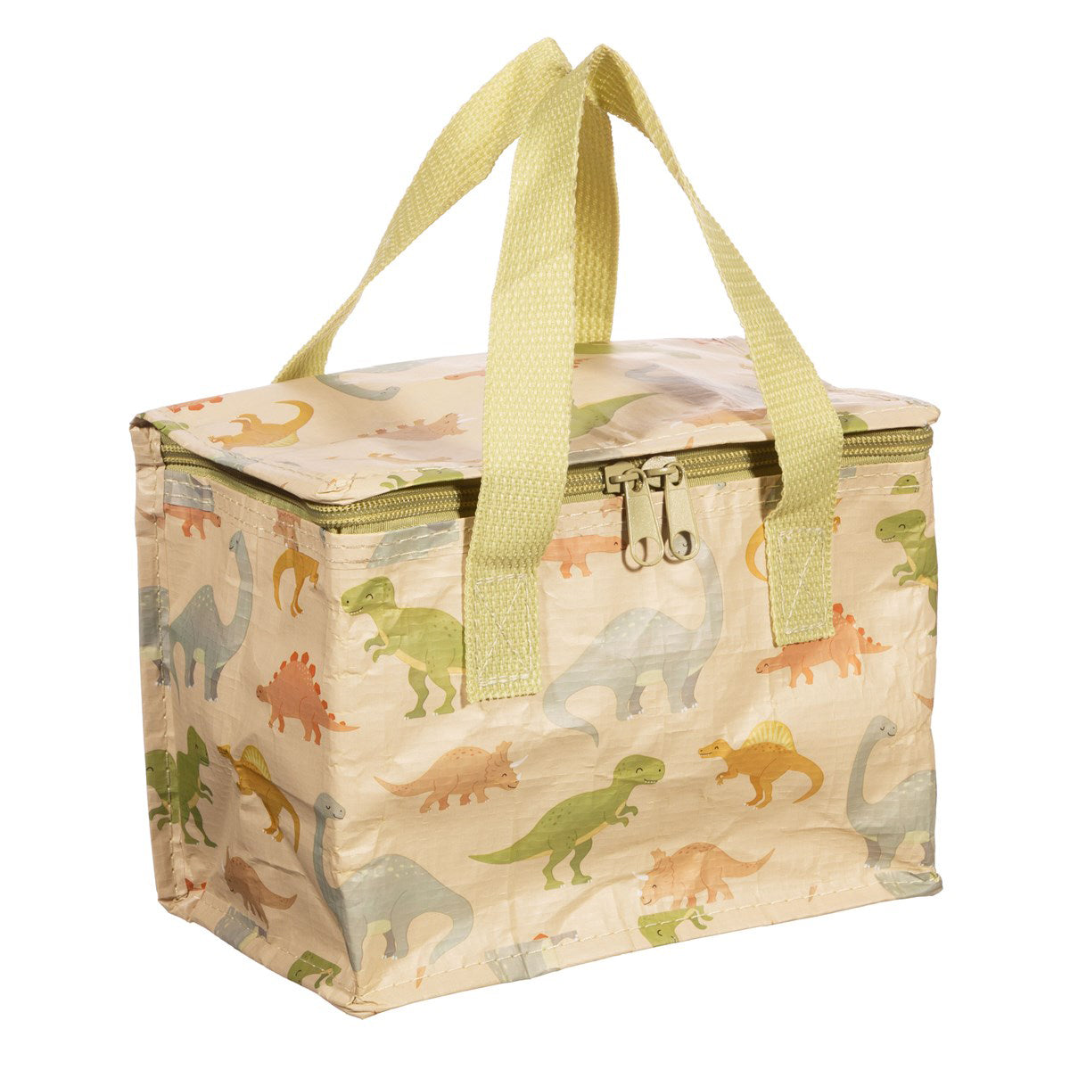 rjb-stone-desert-dino-lunch-bag-rjbs-tote116- (2)