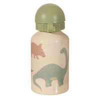 rjb-stone-desert-dino-metal-water-bottle-rjbs-ang059- (2)