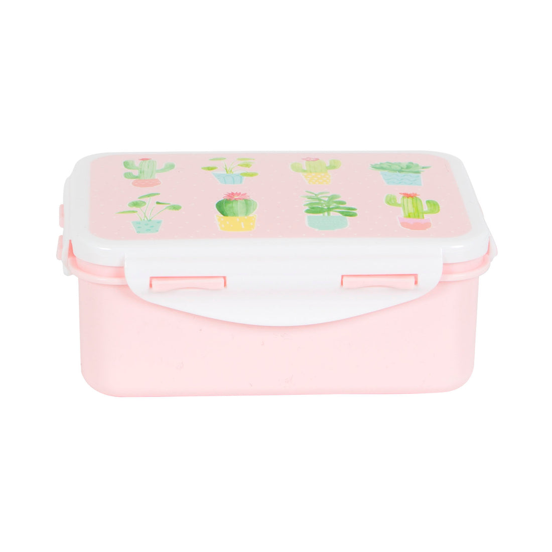 rjb-stone-pastel-cactus-lunch-box-01