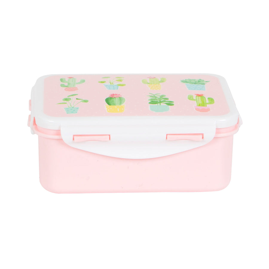 rjb-stone-pastel-cactus-lunch-box-01