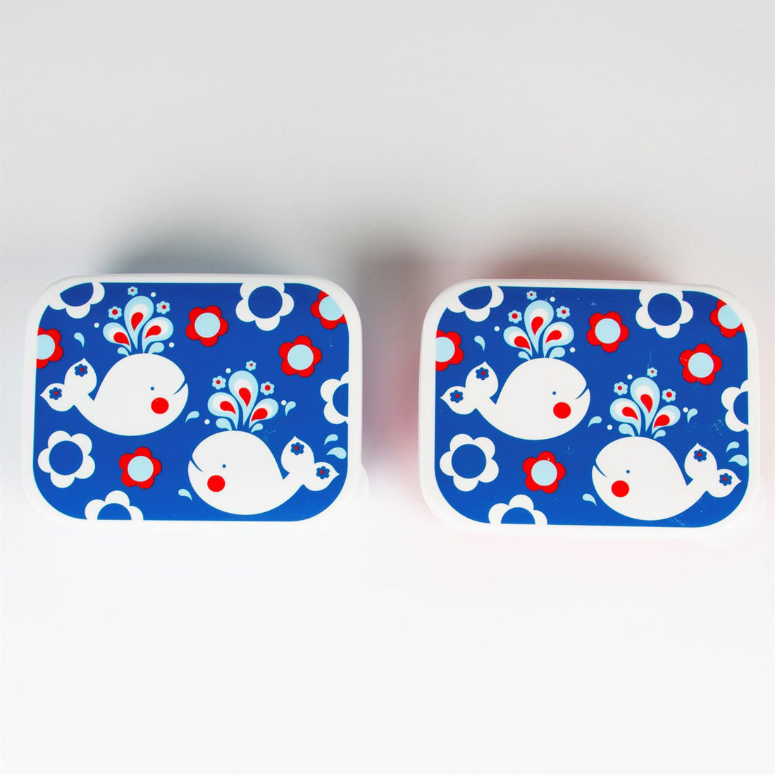 rjb-stone-rectangular-retro-whale-box- (2)