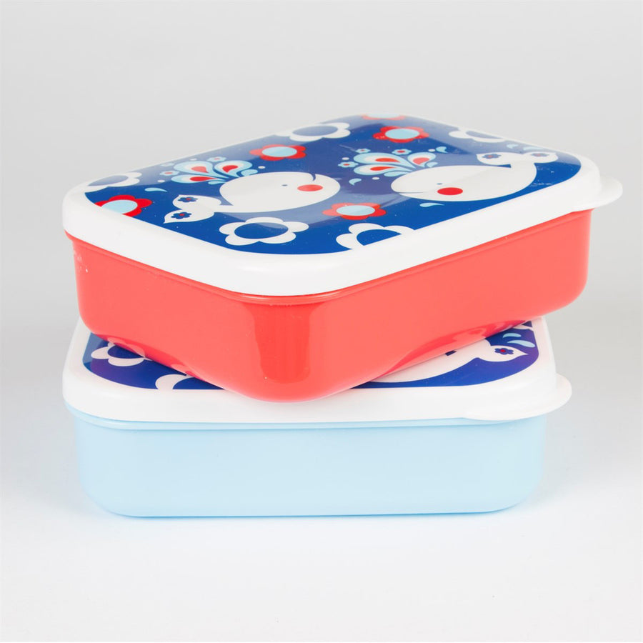 rjb-stone-rectangular-retro-whale-box- (4)