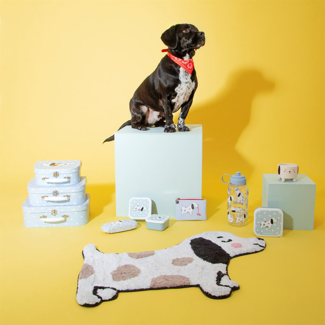 rjb-stone-set-of-3-barney-the-dog-lunch-boxes- (6)