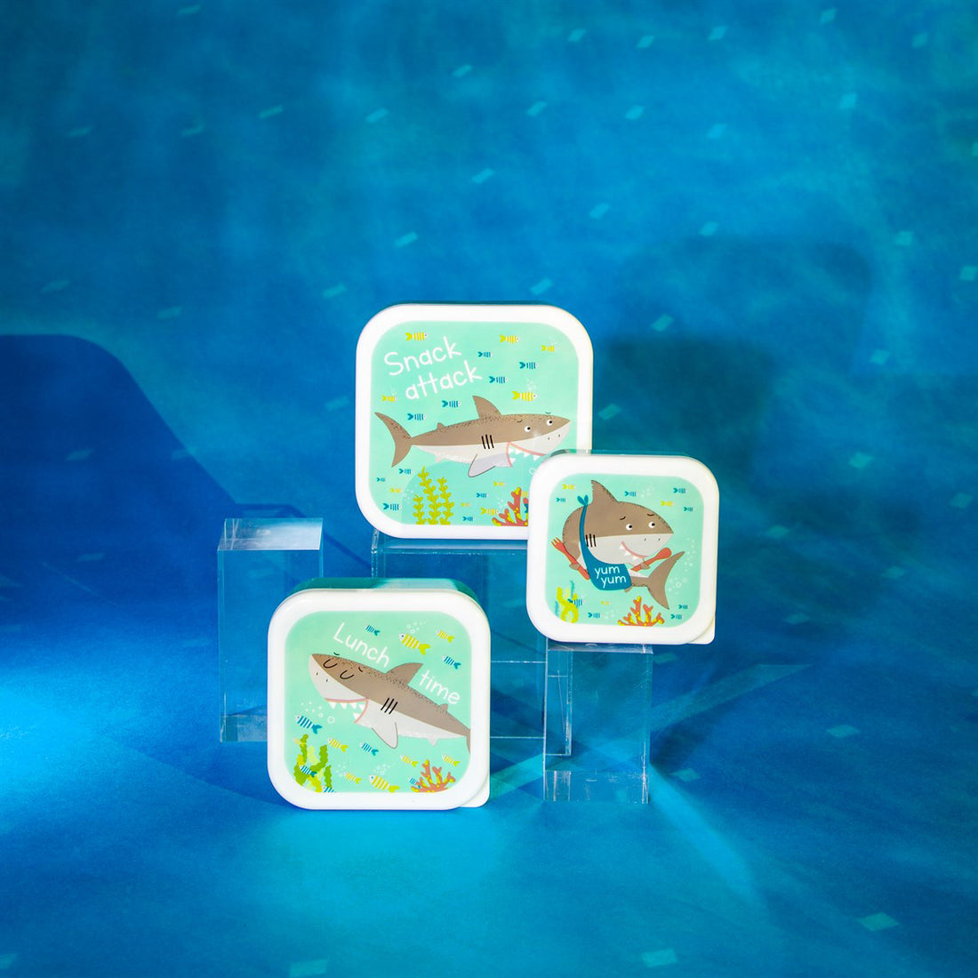 rjb-stone-set-of-3-shelby-the-shark-lunch-boxes- (4)