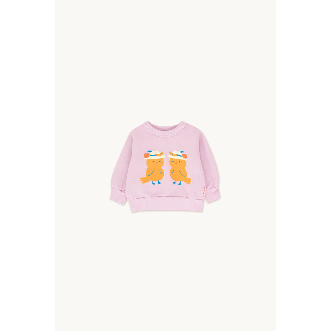 tinycottons-birds-baby-sweatshirt-lv-o-tico-s23108l37-lvo-6m