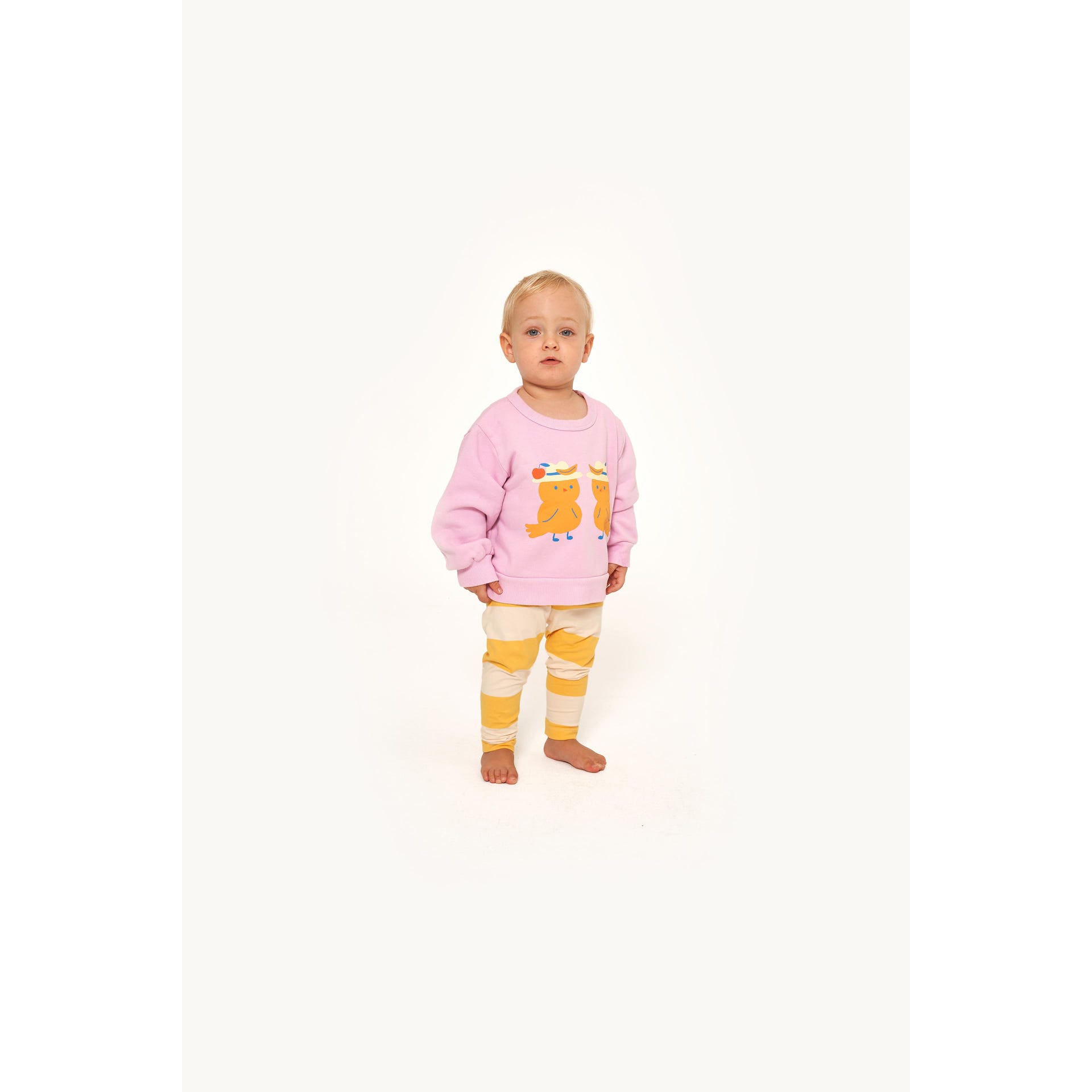 tinycottons-birds-baby-sweatshirt-lv-o-tico-s23108l37-lvo-6m