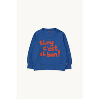 tinycottons-tiny-sweatshirt-usr-tico-w22108k89-um-4y- (1)