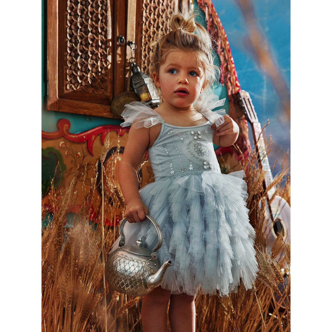 tutu-du-monde-bebe-wanderer-tutu-dress-silverlite-tutu-s22-tdm7085-6-12m- (4)