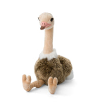 wwf-ostrich-35cm-wwf-15170036- (1)