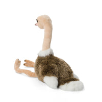 wwf-ostrich-35cm-wwf-15170036- (3)