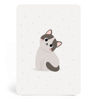 zu-boutique-card-cat- (1)